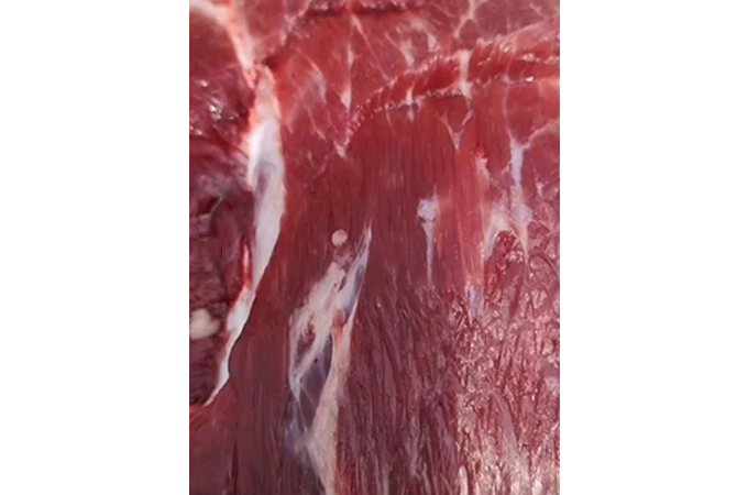 生鲜驴肉
