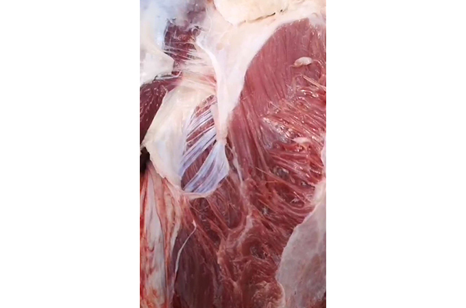 生鲜驴肉