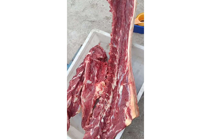 生鲜驴肉