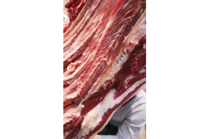 生鲜驴肉