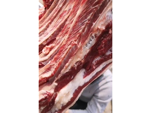 生鲜驴肉